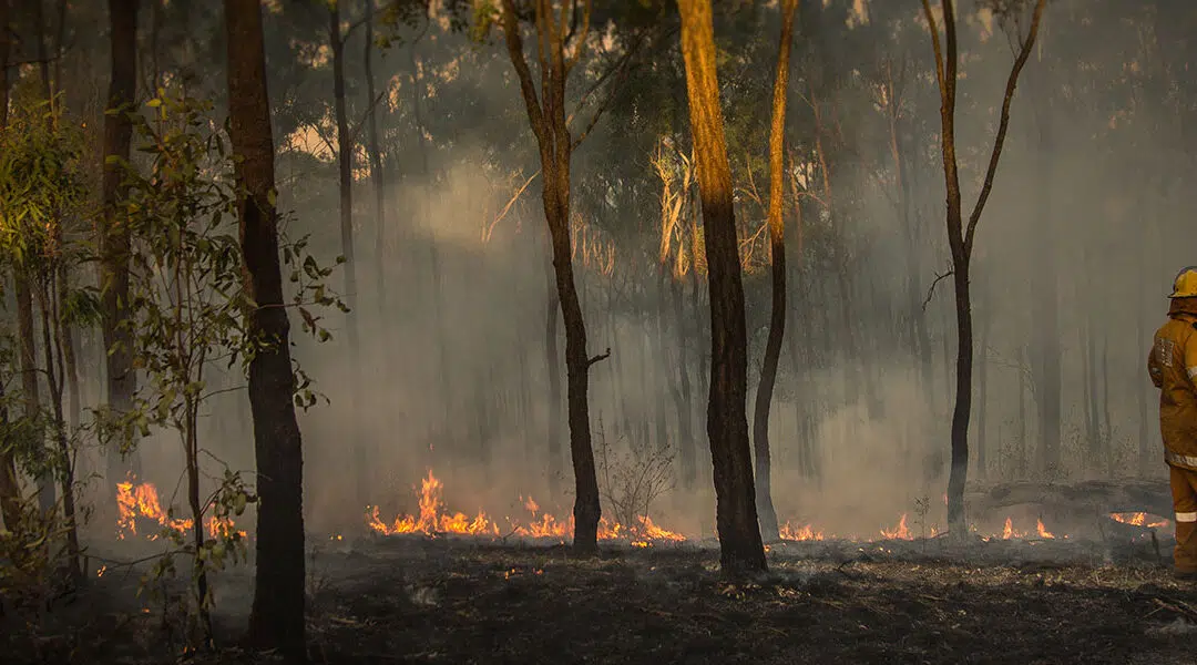 Can a worker shoot through to fight bushfires?